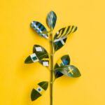 variety-paint-drawings-ficus-leaves-yellow-background_23-2148325723